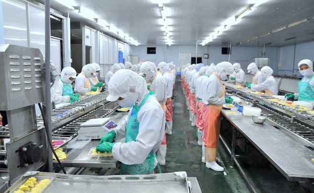 衛生服とマスクを着けて作業する食品工場のライン