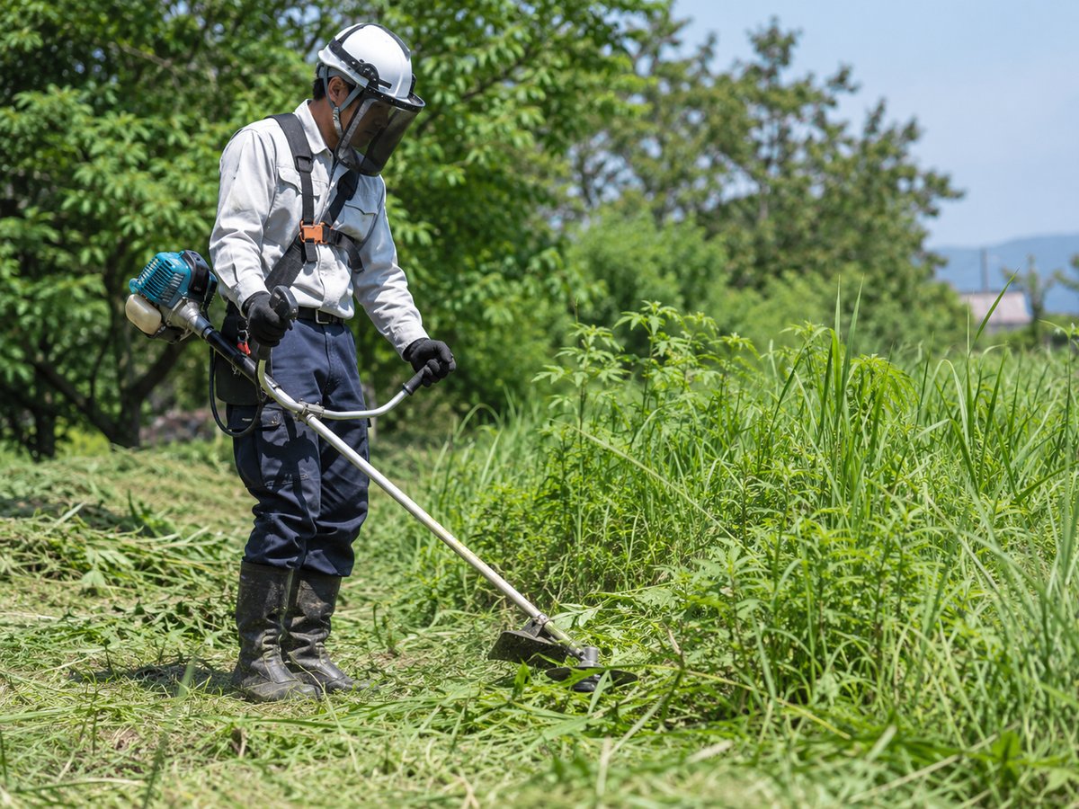 保護具を着用した造園工が刈払機で草刈りをしている様子